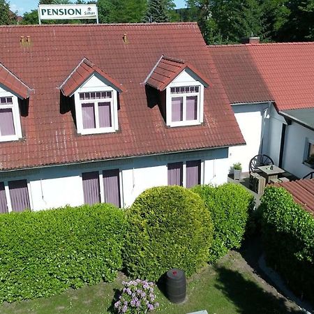 Pension Zum Lindeneck لوبتس المظهر الخارجي الصورة
